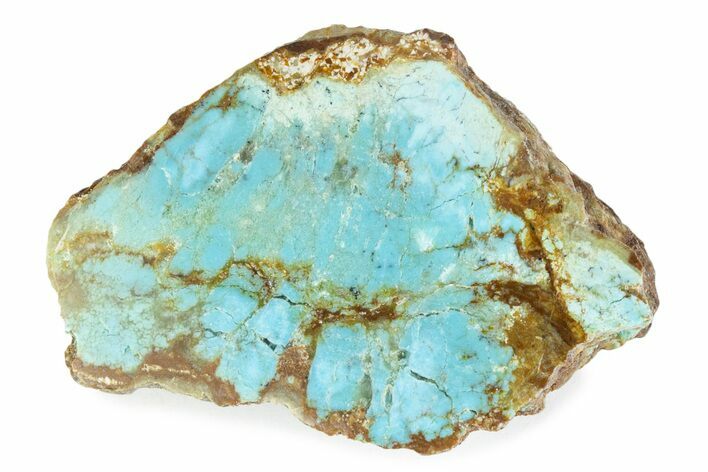 Polished Turquoise Section - Number Mine, Carlin, NV #373139